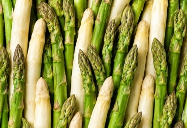 SPARGEL